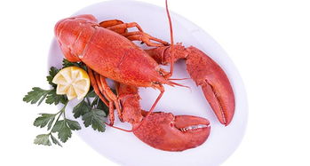 多國海鮮產(chǎn)品關稅迎調(diào)整或全免，全球貿(mào)易格局或?qū)⒅厮? class=